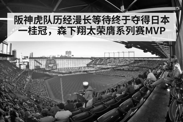 阪神虎队历经漫长等待终于夺得日本一桂冠，森下翔太荣膺系列赛MVP